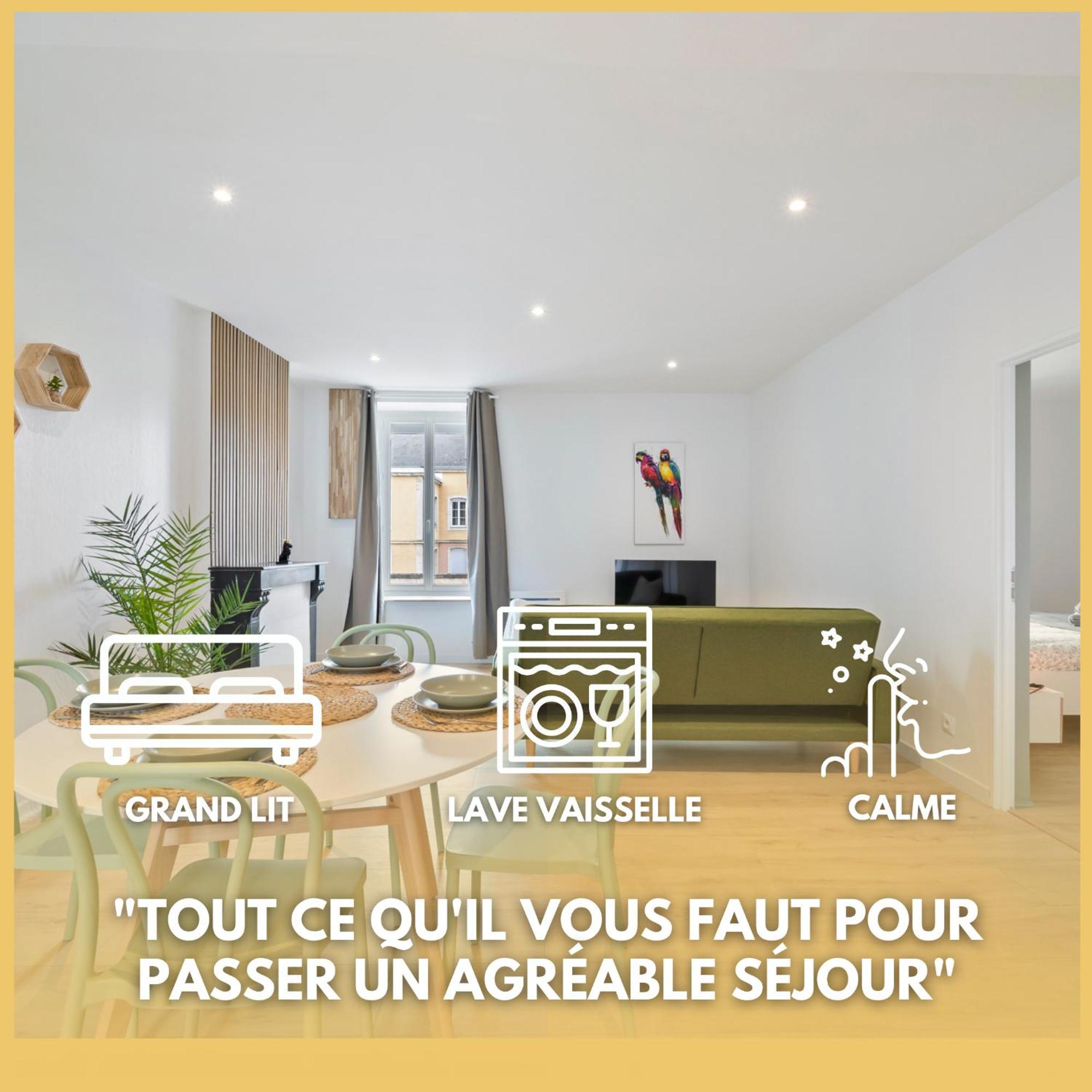 Lion King Appart 65 M2 Tout Inclus Chalon-sur-Saône Extérieur photo